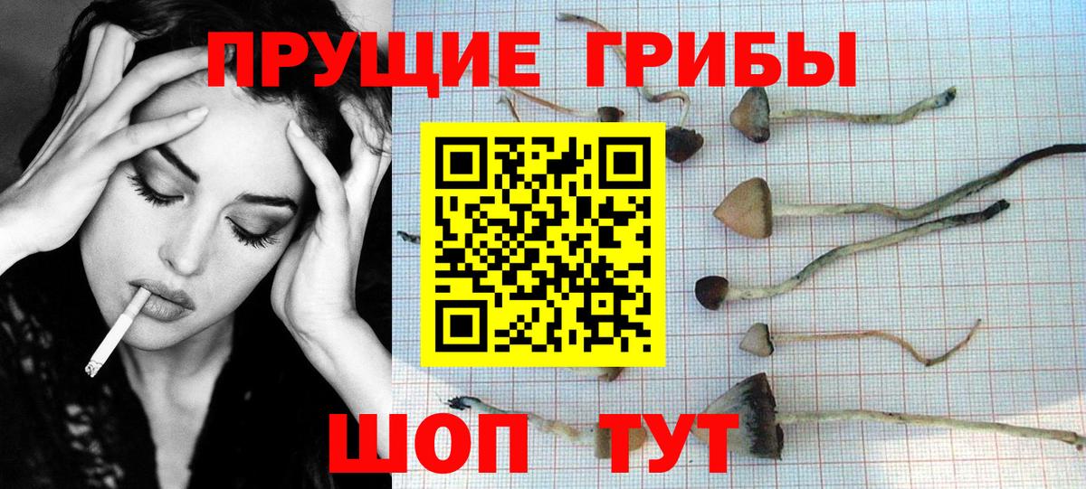 Псилоцибиновые грибы MAGIC MUSHROOMS Сертолово