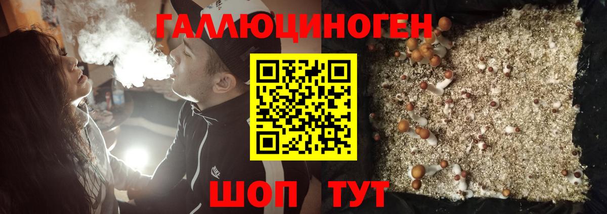Псилоцибиновые грибы прущие грибы  Вход с VPN  Сертолово  Галлюциногенные грибы мицелий 